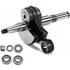 UYTGFO Adatto for Stihl MS341 MS361 MS 341 361 Motosega Ricambi #1135 030 0400 Kit paraoli albero motore cuscinetto albero motore(Combo Kit)