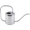 Fasmov 1,5L Annaffiatoio Metallo in Acciaio Inossidabile con Beccuccio Lungo per Fiori da Giardino, Argento