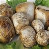 Caseificio Santa Rita Bocconcini affumicati di Bufala 500 Gr