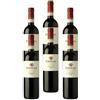 Zeus Party OFFERTA 6 Bottiglie di Perticaia Montefalco Rosso 2017 0,750l
