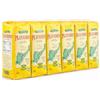 Playadito Yerba Mate 1 Kg - 6 Confezioni, Mate Argentino con Palo Sfuso, Bevanda Energetica Naturale, Alternativa al Caffè, Infuso Caldo o Freddo