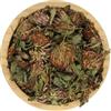 YouHerbIt Trifoglio Rosso Fiori Interi Secchi Tinasa - Trifolium Pratense (25g)