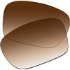EZReplace Lenti di ricambio per occhiali da sole Ray-Ban Round Fleck RB2447 49 mm, Marrone sfumato - non polarizzato, Taglia unica
