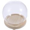PRETYZOOM Piccola Cupola di Campana, vetrina con Base in Legno per Piante, Catena Luminosa per Foto, medaglie, 15 cm