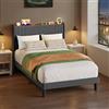 Blishom Letto imbottito con luce LED 120 x 200 cm，Piattaforma Struttura letto (2 Prese CA 2 Porte USB), Per le camere degli ospiti e le camere da letto (Grigio scuro)