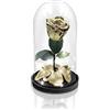 Aluisi Fiori - Rosa Stabilizzata Oro con LED - Rosa Eterna Stabilizzata - Rosa Stabilizzata Vera in Cupola di Vetro - Fiori Stabilizzati - Regalo per Mamma - Made in Italy