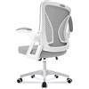Milacyee Sedia da Ufficio con Supporto Lombare, Sedia Ufficio Ergonomica con Braccioli Regolabili in Rete Traspirante, Altezza Regolabile con 360°Ruote Girevoli (Grigio)