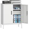 HOMCOM Armadio Portadocumenti a 2 Ante in Acciaio, Schedario da Ufficio con Ripiani Regolabile su 25 Livelli e Serratura, Mobiletto Multiuso Portaoggetti, per Ufficio Studio, 80x40x100 cm, Bianco