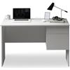 WHOUS Scrivania EASY per Ufficio, Studio o Camera con 1 Cassetto e 1 Anta, Ideale per Adulti e Bambini, 110x50x75 cm, Bianco Opaco