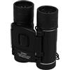 Angoily Binocolo Portatile 100x22 Nero Prisma Bak4 e Oculare Grande | Messa a Fuoco Facile, Rivestimento Fmc Multistrato, Texture Antiscivolo, per Campeggio, Viaggio, Natura