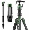 Fotopro Treppiede compatto in fibra di carbonio da 60 pollici con testa a sfera Piastra a sgancio rapido Monopiede staccabile Carico fino a 8 kg X-go E 2 in fibra di carbonio verde
