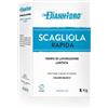 Dianhydro GESSO SCAGLIOLA kg 5