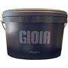 Giorgio Graesan Pittura lavabile con scaglie di madreperla Giorgio Graesan Gioia da 2,5 L