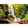 murando - Carta da parati Cascata 400x280 cm Fotomurali in TNT Murale alla moda Decorazione da Muro XXL Poster Gigante Design Carta per Pareti Soggiorno Natura Paesaggio Foresta Lago c-C-0446-a-a