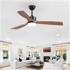 Passky Ventilatore da soffitto con illuminazione e telecomando, ventilatore da soffitto con luce, 3 pale, motore DC, 132 cm, nero