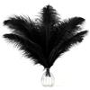 AOOTE Grandi Naturale Piume, 12 Pezzi Piuma di Struzzo Naturale, 25-30cm Piume Decorative, per Matrimoni, Lavori Artigianali, Abbigliamento, Decorazioni Natalizie, Feste a Tema, Personaggi, Nero