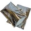 POLOPLAST PZ 10 BUSTA TERMICA CM 23 X 35 COLORE ARGENTO SACCHETTO RICHIUDIBILE PER TRASPORTO ALIMENTI CONGELATI SURGELATI CHIUSURA ZIPLOCK