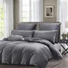 Gezu Copripiumino in flanella, 220 x 240 cm, grigio inverno, set da letto in velluto double face, spesso morbido e caldo, biancheria da letto per 2 persone, con 2 federe 65 x 65 cm con chiusura lampo