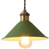 CHUNGYANG Lampade A Sospensione in Metallo,Lampadario Piccolo Colorato Macaron Industriale Vintage,Lampada A Sospensione Semplice da Soffitto E27 Ad Altezza Regolabile,Lanterna Decorativa Artigianale