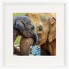 BD ART 28 x28 cm Cornice Portafoto Quadrata con Passepartout 20x20 cm, Bianco