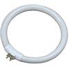 eDM 00301 Ricambio tubo fluorescente circolare T4, multicolore, 12 W