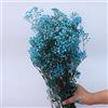 YIWOYI Fiori di Gipsofila Essiccata Naturale, Bouquet di Fiori di Gipsofila Paniculata Freschi Naturali in Regalo per Decorazione di Matrimonio e Decorazione della Casa (zaffiro, 40-55 cm 80 g)