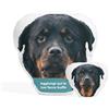 Cimpress Cuscino Fotografico Personalizzato con Faccia di Cane, Cuscino con Foto o Testo, 38 × 38 cm, Piccolo, Idea Regalo Romantica per Compleanni o Anniversari, Decorazione per la Casa