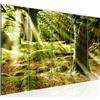 Runa Art Murali XXL Foresta paesaggio 200 x 80 cm Verde 5 Pezzi - Made in Germany - 610955a