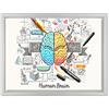 ConKrea QUADRO SU TELA CANVAS INTELAIATO - CON CORNICE - Cervello Idea Concept - Psicologia - Brainstorm Business - 30x40cm - Stile Moderno Bianco - (cod.2853)