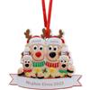 Kaululu Addobbi Natalizi per Albero Personalizzato con Nome Natale 2025 Decorazioni Casa, Albero di Natale Ciondolo in Resina Regali Natale (C, 4 Nomi)