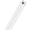 Osram Natura T8 G13 L 18 W/76 Lampada fluorescente