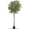 tectake® Albero di Ulivo Artificiale, Foglie Dettagliate con Olive Realistiche, Vaso Stabile in Plastica, Decorazione per Soggiorno, Ufficio e Interni, Facile da Pulire - 210 cm