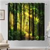 Kzzfqxb 107×215cm Tende Oscuranti Forestali 2 Pannelli, Verde Soleggiato Bosco Alberi Lussureggianti Sentiero Caldo Parco Boschivo a Drappo, per Finestre Soggiorno Camera da Letto