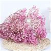 YIWOYI Bouquet di fiori secchi naturali, Gypsophila paniculata, ideali per feste di nozze o decorazione della casa, 15-30 cm, 20 g, viola e rosa