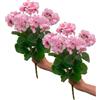 BestAlice Gerani artificiali in seta, cespuglio di gerani rossi artificiali da 35,6 cm, cespuglio di geranio rosso, rosa, bianco, finto vaso da cimitero, centrotavola, decorazione per la casa, interni,