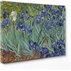 ConKrea - Quadro su Tela Canvas - INTELAIATO - Pronto da Appendere - Irises - Fiori di Iris per Van Gogh - 30x40cm - Senza Cornice - (cod.2650)