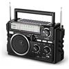 PRUNUS J-02 Radio Portatile Solare FM/AM/SW, Radio Bluetooth Ricaricabile con Batteria 1800 mAh o Pile D, Radiolina a Transistor a Doppia Antenna, Supporta TF/USB, per Casa, Campeggio e Emergenza.