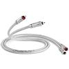 QED Signature Audio 40 cavo (1 m)