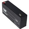 Fiamm FG10301 - Batteria al piombo, 3,0 Ah