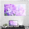Tonysa 60-120 Pollici 16: 9 Schermo di proiezione Pieghevole Portatile Proiettore Home Cinema Tenda Schermo in Tessuto PVC Film per proiettore Home Theater Cortile Interno/Esterno(60 Pollici)