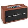 Audizio Tune60 - Radio DAB Plus con altoparlante Bluetooth, funzionamento a batteria, telecomando, FM, 40 Watt, LCD, 20 posizioni di memoria, USB/TF, AUX, sveglia, radio digitale vintage DAB+, marrone