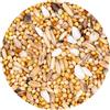 Generico Miscela Agapornis senza Girasole 20kg