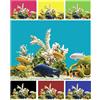 Finest Folia 1 metro di pellicola di sfondo per acquario, per terrario, pellicola posteriore autoadesiva, taglio monocolore (60 cm, nero)
