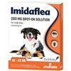 ImidaFLEA per cani di taglia grande 250mg