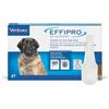 Virbac effipro dog XLarge 40-60 kg; confezione da 4 pipette