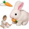 Generico Plush Bunny giocattolo, giocattolo coniglietto a piedi | Giocattoli educativi di coniglio che camminano con movimento e suoni - Sviluppo di apprendimento interattivo giocattolo coniglietto peluche per