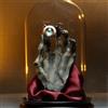 WizKids D&D Icons of The Realms: Occhio e Mano di Vecchia, 19,5 cm