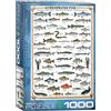 empireposter Pesci d'acqua dolce - Puzzle da 1000 pezzi in formato 68 x 48 cm