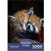 XKASKDFKE Gatto e panda rosso Puzzle 1000 Pezzi Animalii Jigsaw Per Adulti Gioco Education Regalo Per Amore E Amico Per Gioco Familiare Decorazione Interna Unica Stress Relief 38x26cm/1000pcs