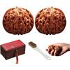 GUUZETU Noci Cinesi Fidget Palline per Esercizi per le Mani Antistress, Set da 2 Pezzi Wenwan in Noce Naturale con Confezione Regalo Pennello, Giocattolo Rilassante per la Rotazione del Palmo (#b)